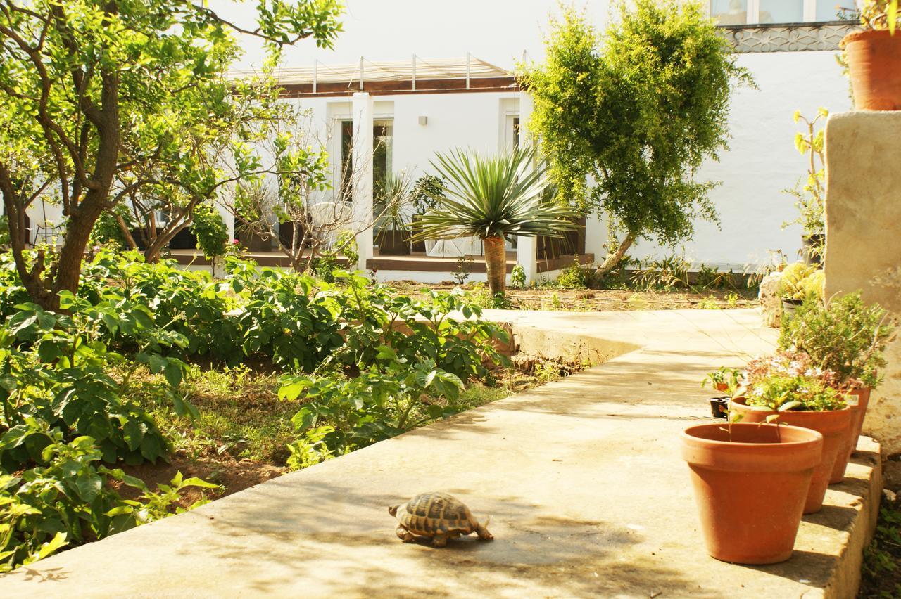 Hotel Abril 37 Ciutadella  Kültér fotó
